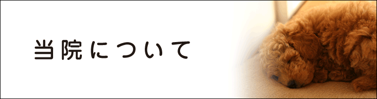 あづみの動物病院の特徴