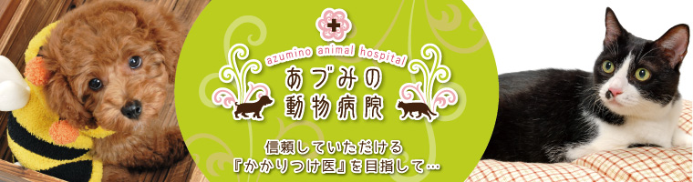 あづみの動物病院、信頼していただけるかかりつけ医を目指して