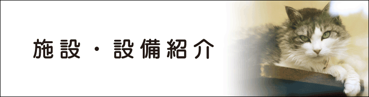 あづみの動物病院の設備・施設紹介