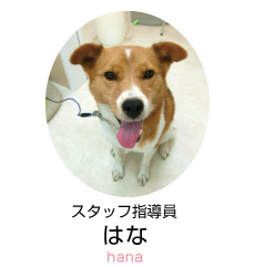 あづみの動物病院 動物看護士