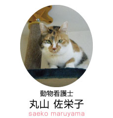 あづみの動物病院 動物看護士